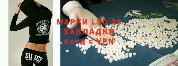 шишки Богородицк