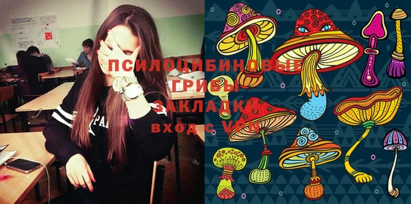 a pvp Богородск
