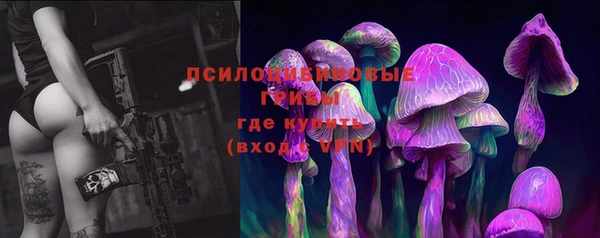 a pvp Богородск