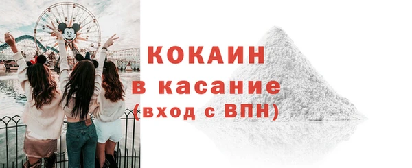 шишки Богородицк