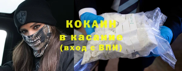 шишки Богородицк