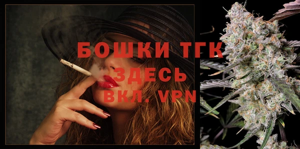 шишки Богородицк