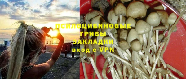 СК Богданович