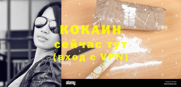 шишки Богородицк